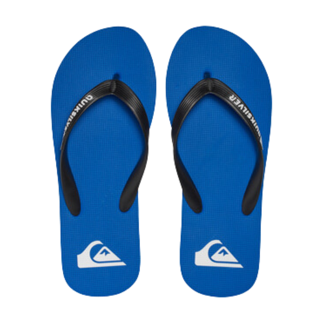 Quicksilver Molokai Slippers