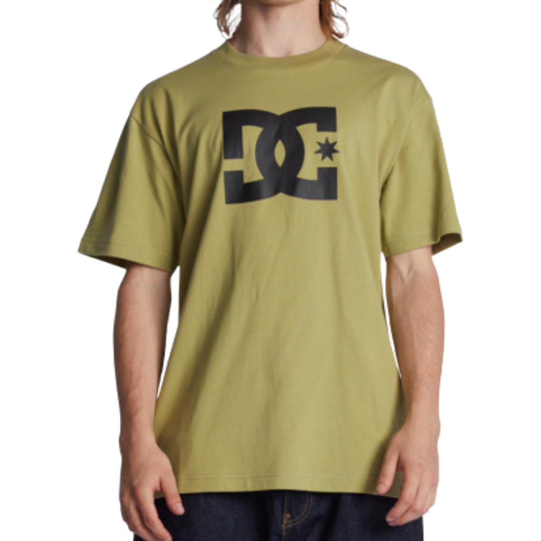 Dc Star Hss Adults Male Tshirts Green