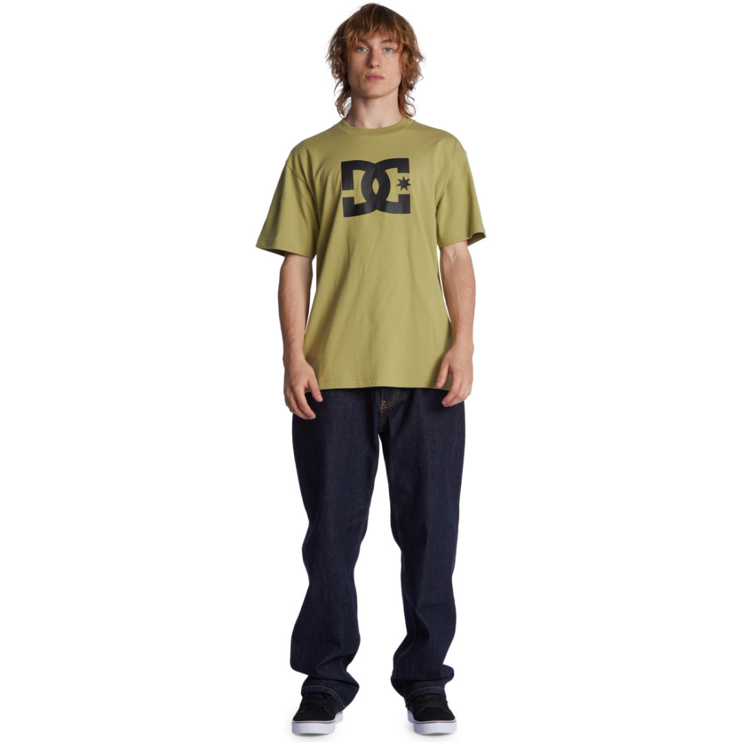 Dc Star Hss Adults Male Tshirts Green
