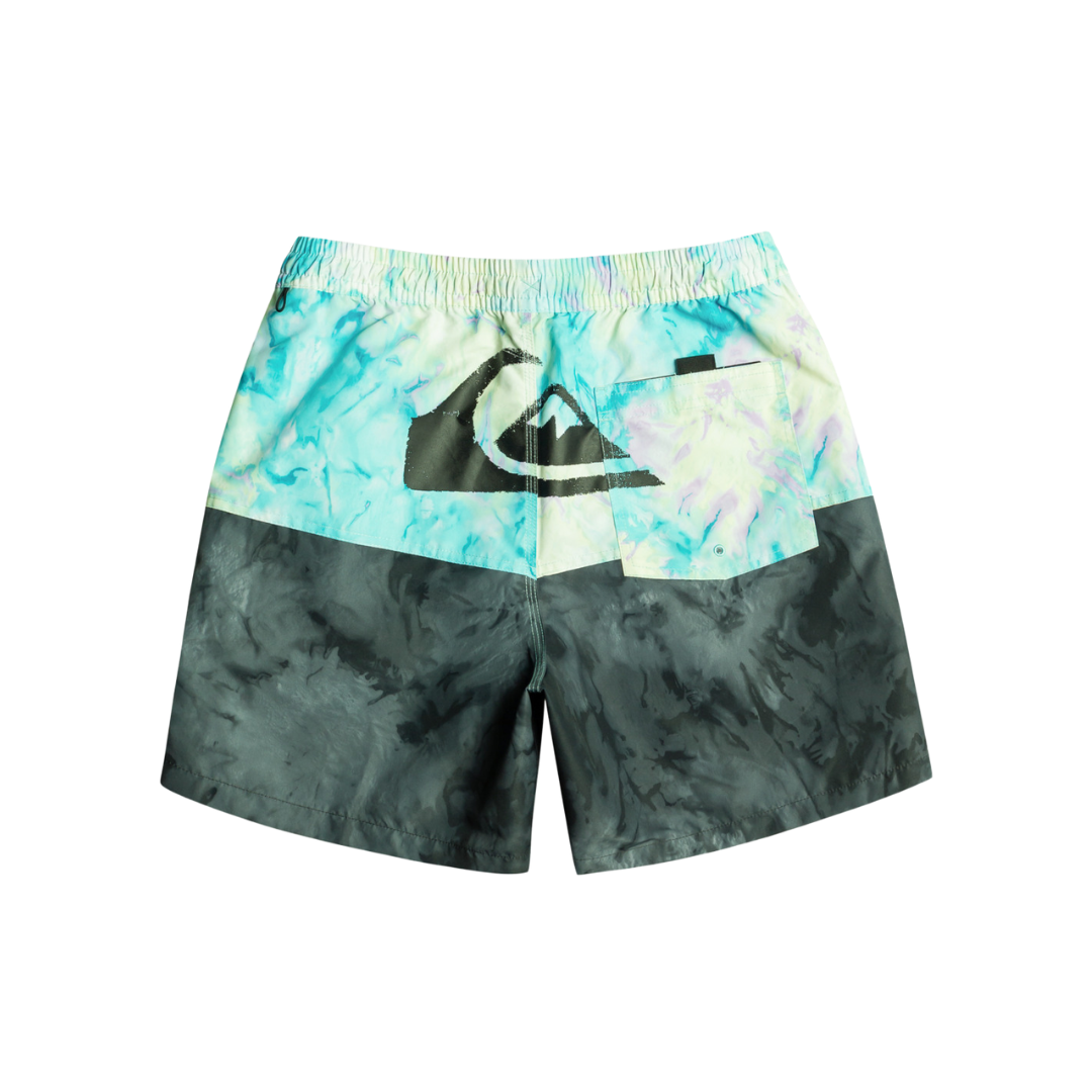 Butt Logo Volley 17Nb Junior Male Shorts Multicolor