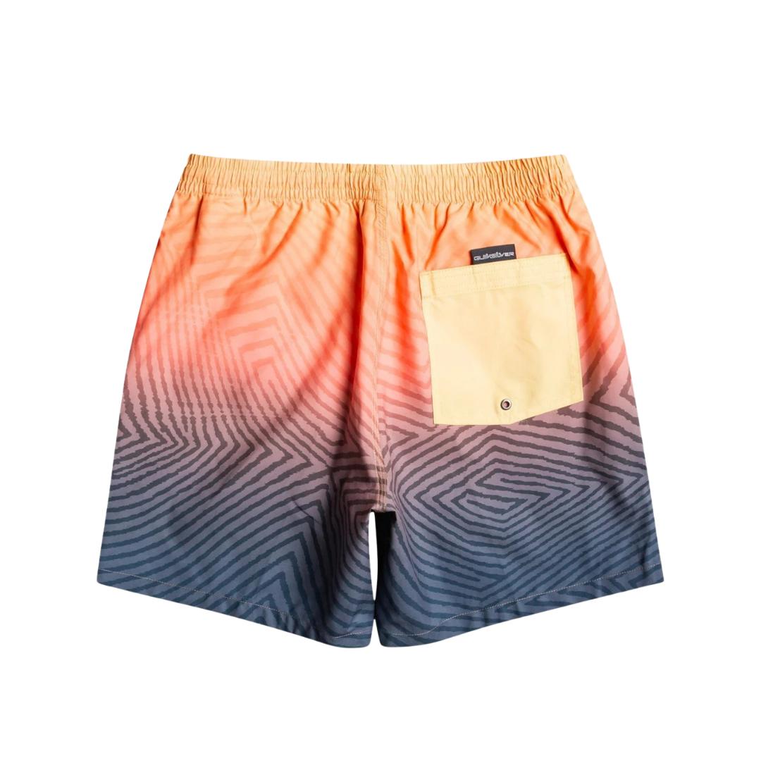 Everyday Warped Logo Volley 17 Junior Male Shorts Multicolor