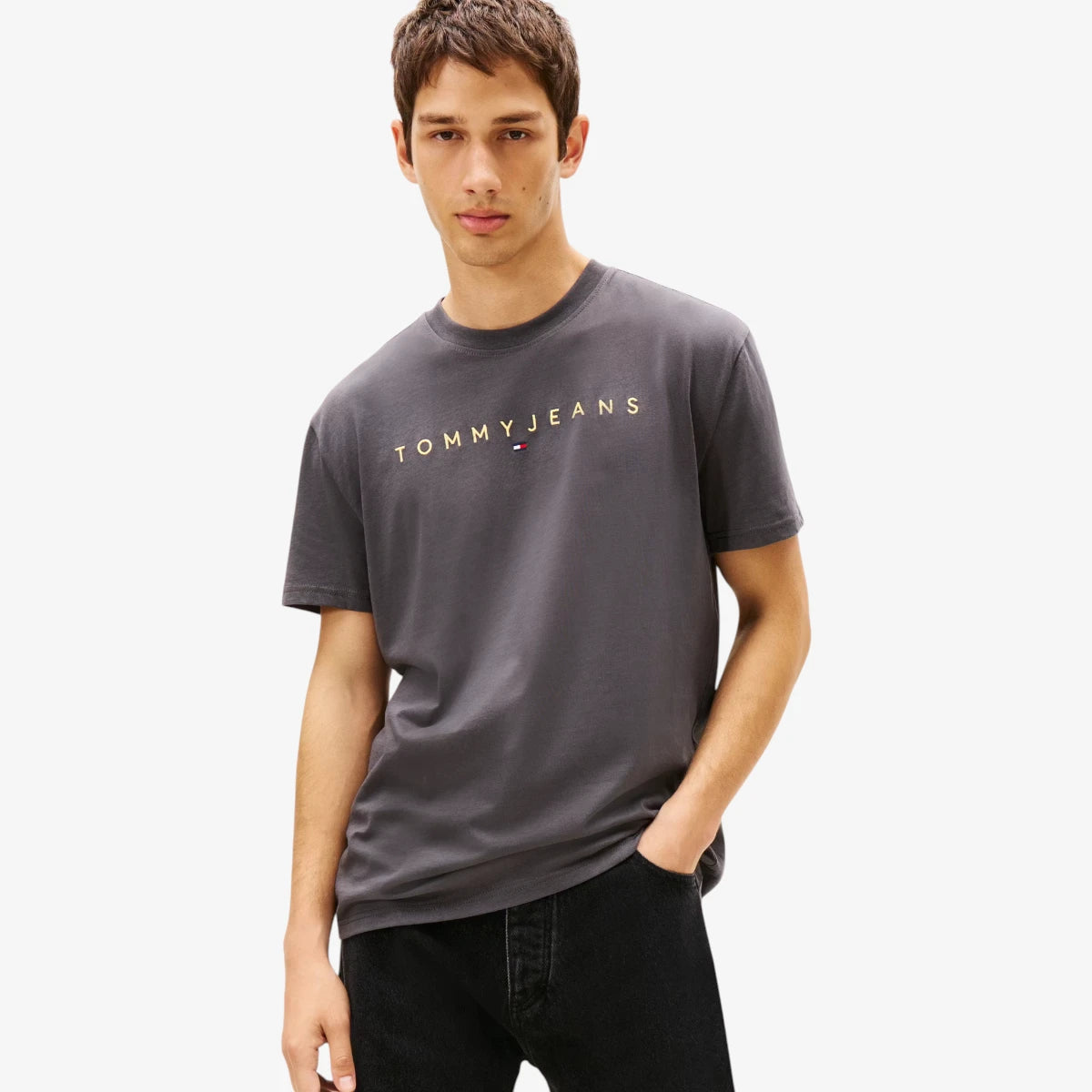 Tommy Hilfiger Regular Linear Logo T-shirt