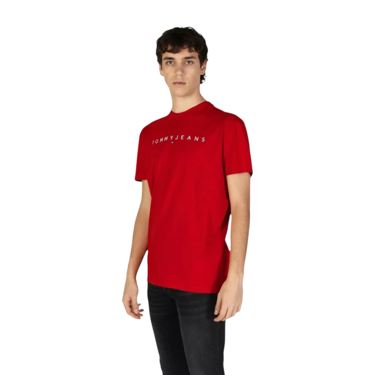 Tommy Hilfiger Regular Linear Logo T-shirt