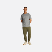 Big Hilfiger Tee Adults Male Tshirts Grey