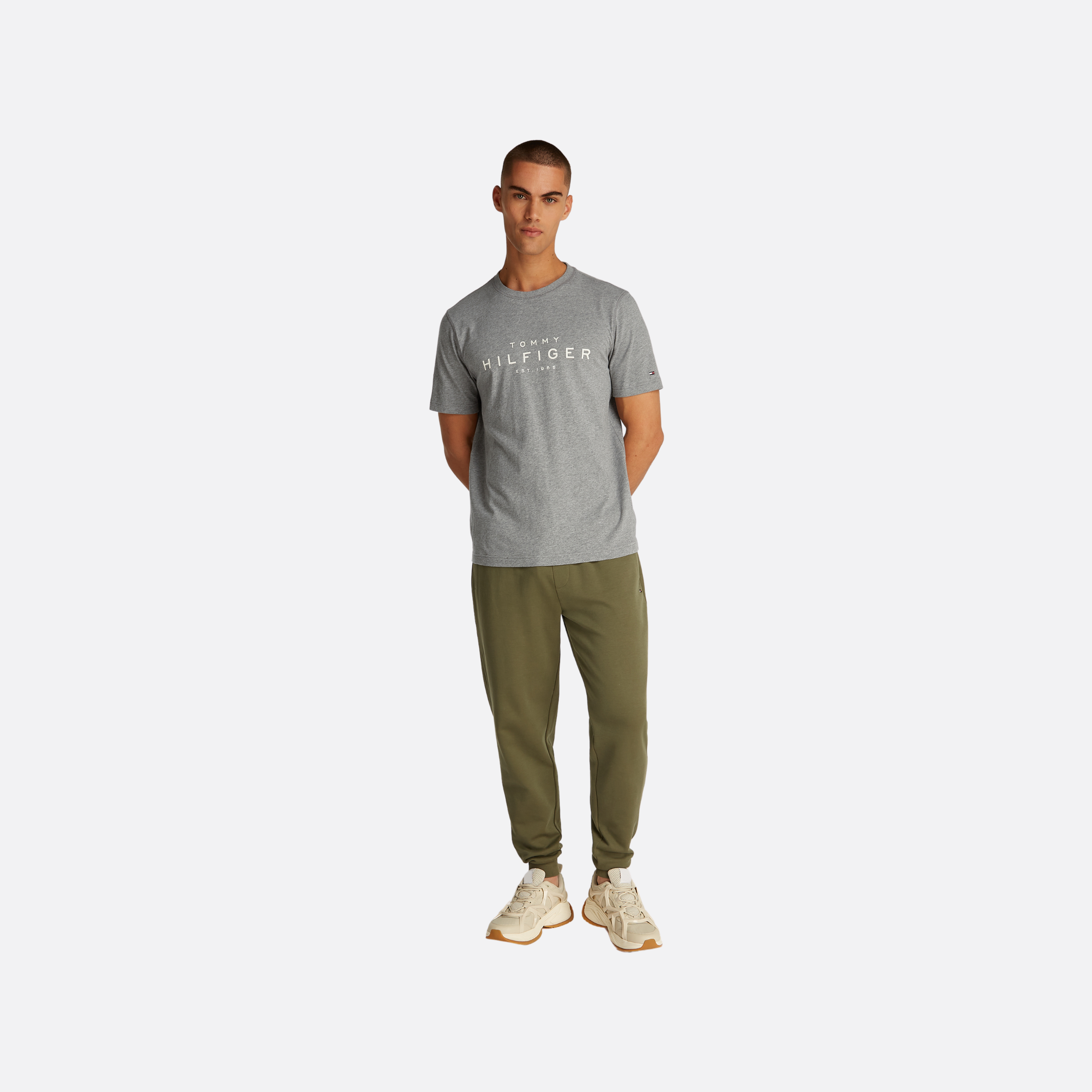 Big Hilfiger Tee Adults Male Tshirts Grey