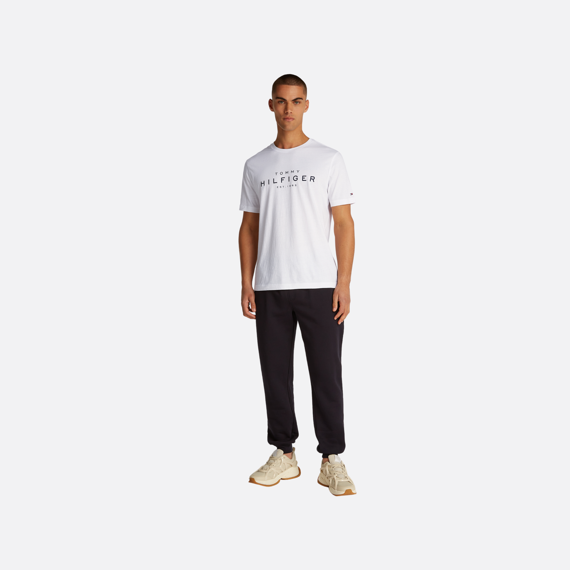 Big Hilfiger Tee Adults Male Tshirts White