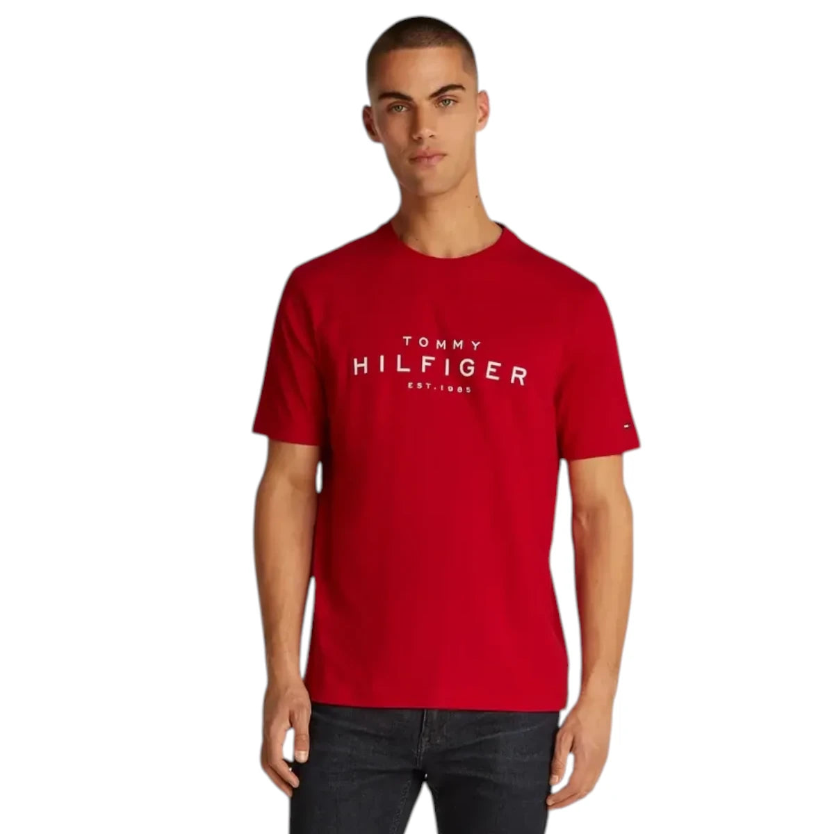 Tommy Hilfiger Logo Crew Neck T-shirt
